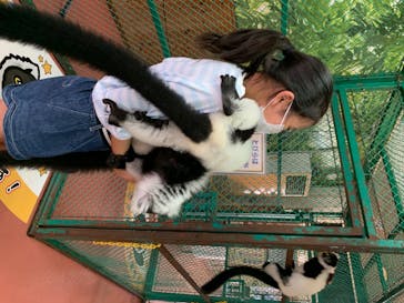 那須ワールドモンキーパークに投稿された画像（2020/8/13）