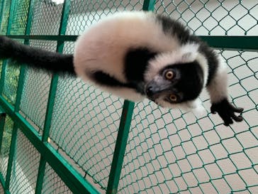 那須ワールドモンキーパークに投稿された画像（2020/8/13）