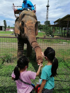 岩手サファリパークに投稿された画像（2020/8/13）