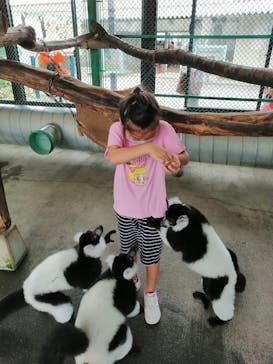 岩手サファリパークに投稿された画像（2020/8/13）