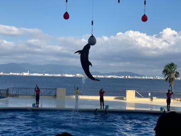 マリンワールド海の中道に投稿された画像（2020/8/13）
