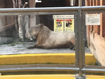 株式会社Gに投稿された画像（2020/8/13）