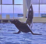 アクアワールド茨城県大洗水族館に投稿された画像（2020/8/13）