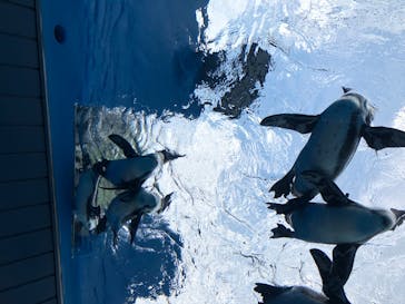 サンシャイン水族館に投稿された画像（2020/8/13）