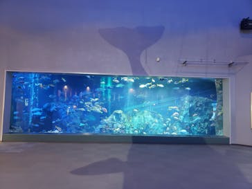 鳥羽水族館に投稿された画像（2020/8/13）