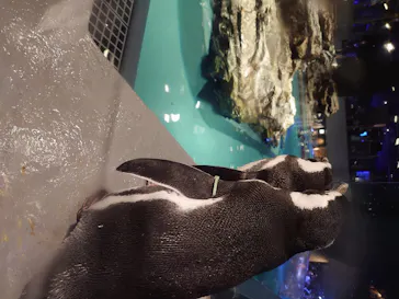 すみだ水族館に投稿された画像（2020/8/13）