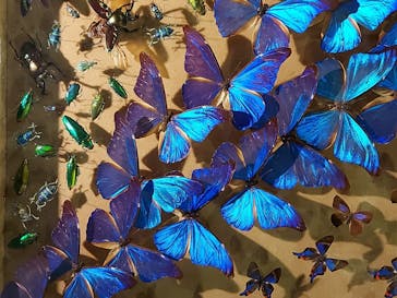 としまえんに投稿された画像（2020/8/13）