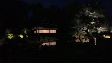 二条城×ネイキッド 二条城夏まつり2021に投稿された画像（2020/8/13）