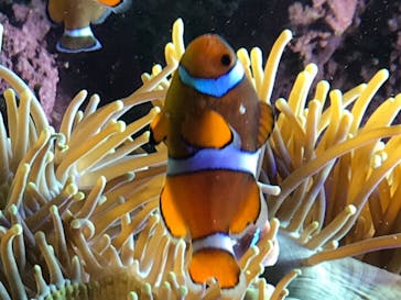 サンシャイン水族館に投稿された画像（2020/8/13）