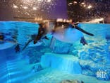 すみだ水族館に投稿された画像（2020/8/13）