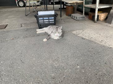 glass Art Blue moon（ガラスアートブルームーン）に投稿された画像（2020/8/13）