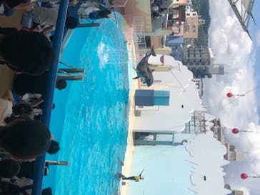 株式会社Gに投稿された画像（2020/8/13）