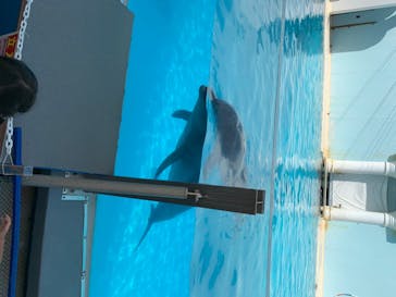 株式会社Gに投稿された画像（2020/8/13）