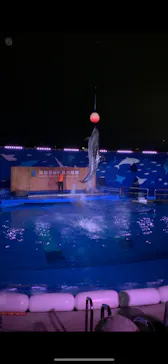 仙台うみの杜水族館に投稿された画像（2020/8/13）