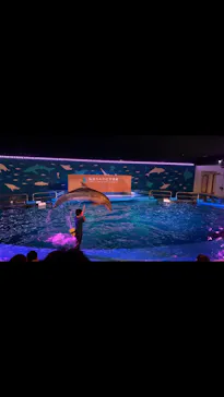 仙台うみの杜水族館に投稿された画像（2020/8/13）