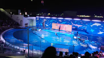 仙台うみの杜水族館に投稿された画像（2020/8/13）
