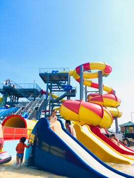 蓮沼ウォーターガーデンに投稿された画像（2020/8/13）