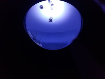 サンシャイン水族館に投稿された画像（2020/8/13）