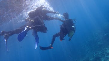 ダイビングショップ Sea Free（シーフリー）に投稿された画像（2020/8/13）