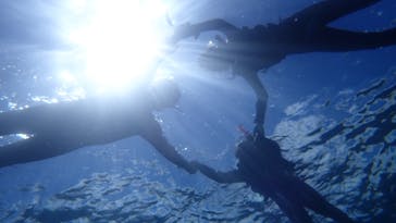 ダイビングショップ Sea Free（シーフリー）に投稿された画像（2020/8/13）