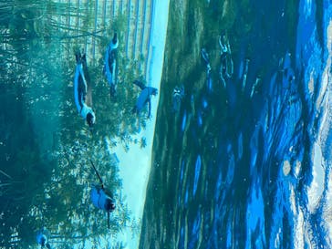 サンシャイン水族館に投稿された画像（2020/8/13）