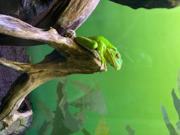 サンシャイン水族館に投稿された画像（2020/8/13）