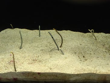 株式会社Gに投稿された画像（2020/8/13）