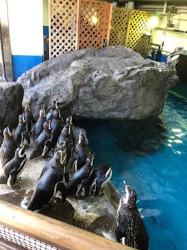 株式会社Gに投稿された画像（2020/8/13）