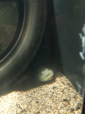 株式会社Gに投稿された画像（2020/8/13）