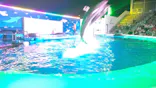 仙台うみの杜水族館に投稿された画像（2020/8/13）