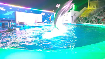 仙台うみの杜水族館に投稿された画像（2020/8/13）