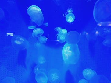 株式会社Gに投稿された画像（2020/8/13）