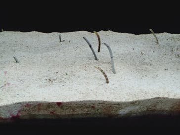 株式会社Gに投稿された画像（2020/8/13）