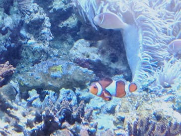 株式会社Gに投稿された画像（2020/8/13）