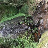 赤目四十八滝エコツアーデスクに投稿された画像（2020/8/13）