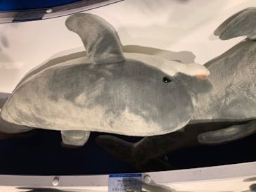 株式会社Gに投稿された画像（2020/8/13）