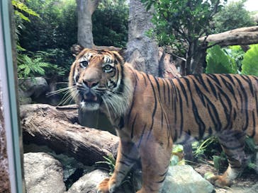 神戸どうぶつ王国に投稿された画像（2020/8/13）