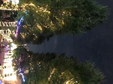 としまえんに投稿された画像（2020/8/13）