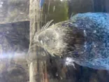 仙台うみの杜水族館に投稿された画像（2020/8/13）