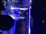 仙台うみの杜水族館に投稿された画像（2020/8/13）
