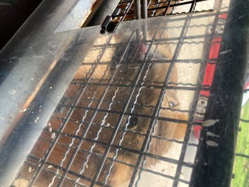 群馬サファリパークに投稿された画像（2020/8/13）