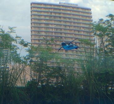 サンシャイン水族館に投稿された画像（2020/8/13）