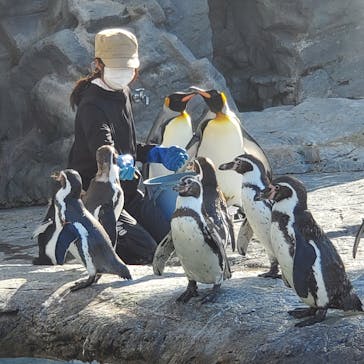 旭川市旭山動物園に投稿された画像（2020/8/13）