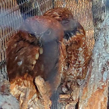 旭川市旭山動物園に投稿された画像（2020/8/13）