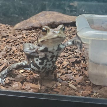 旭川市旭山動物園に投稿された画像（2020/8/13）