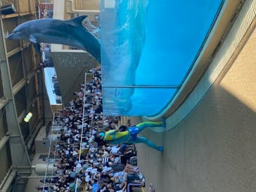 新江ノ島水族館に投稿された画像（2020/8/13）