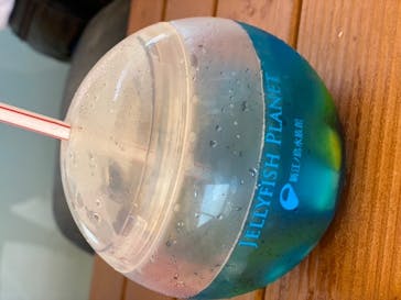 新江ノ島水族館に投稿された画像（2020/8/13）