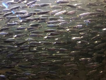 株式会社Gに投稿された画像（2020/8/13）