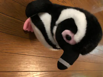 すみだ水族館に投稿された画像（2020/8/13）