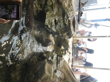 新江ノ島水族館に投稿された画像（2020/8/14）